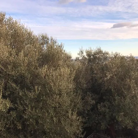 La Chambre De Toutou Bastia (Corsica)