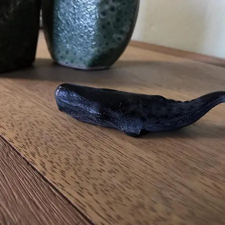 La Chambre De Toutou Bastia (Corsica)