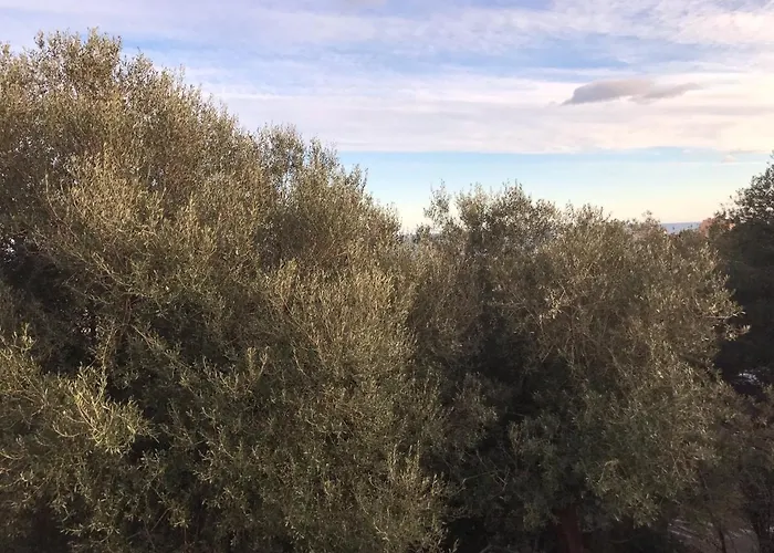 La Chambre De Toutou בסטיה