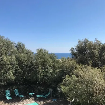 La Chambre De Toutou * Bastia (Corsica)