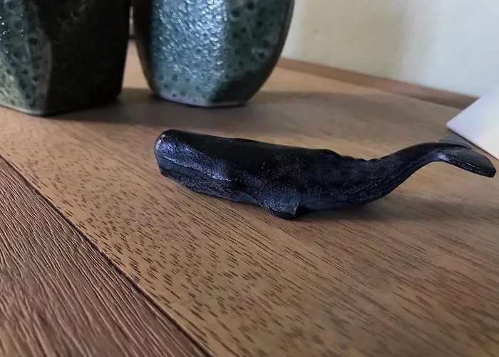 La Chambre De Toutou Bastia (Corsica)